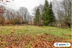 terrain agricole à la vente -   87510  PEYRILHAC, surface 2200 m2 vente terrain agricole - UBI442117712